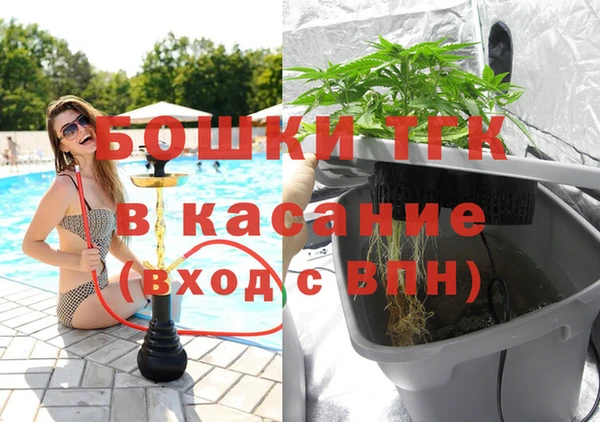 твердый Алзамай