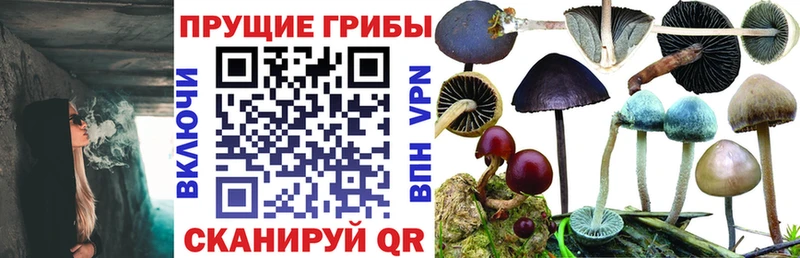 darknet состав  mega ТОР  Лагань  Псилоцибиновые грибы мухоморы 